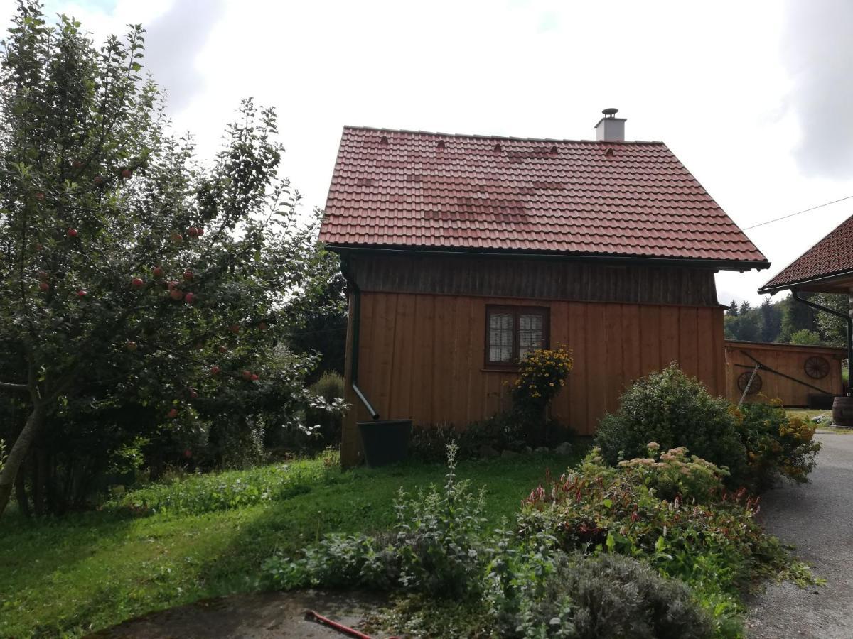 Ferienhaus Friedlhof Langschlag  Exteriér fotografie