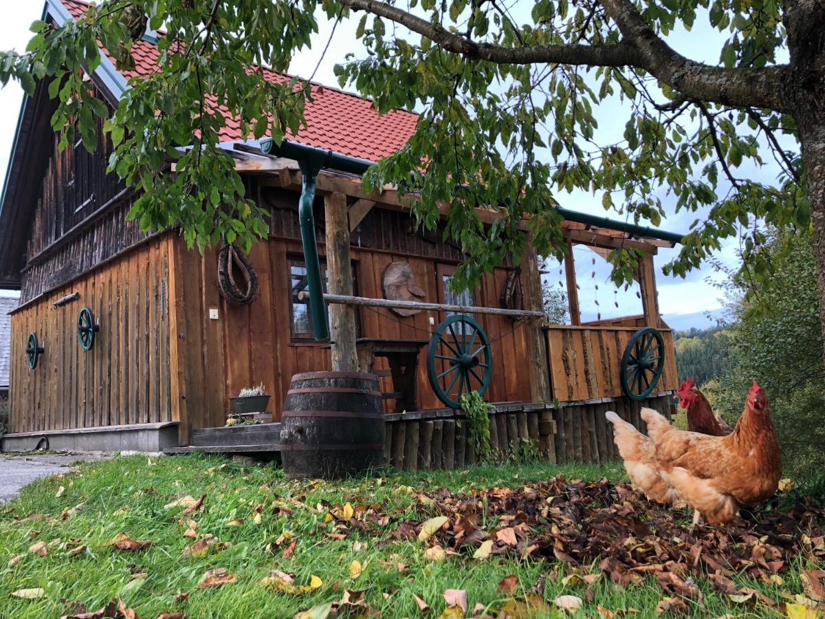 Ferienhaus Friedlhof Langschlag  Exteriér fotografie