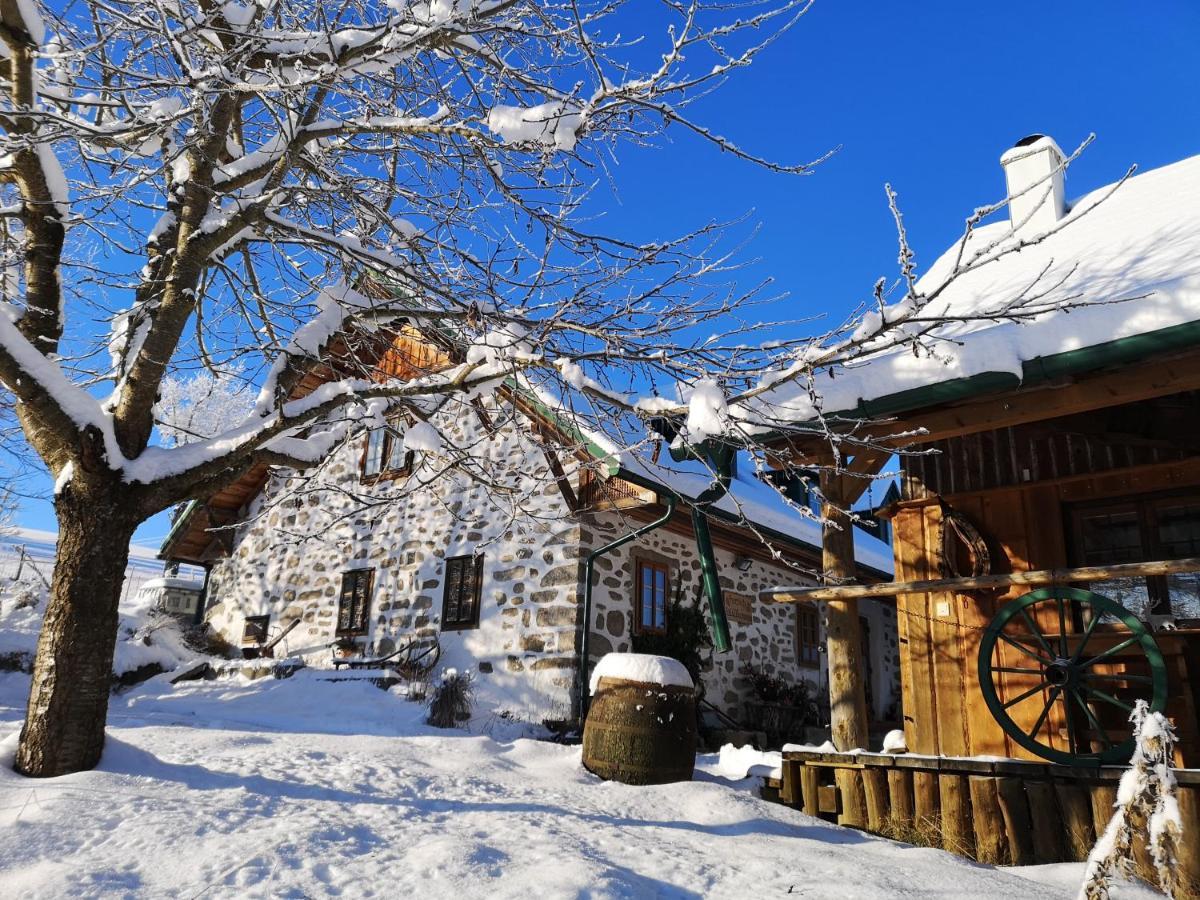 Ferienhaus Friedlhof Langschlag  Exteriér fotografie